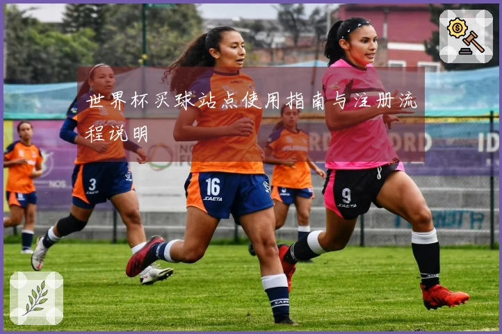 世界杯买球站点使用指南与注册流程说明