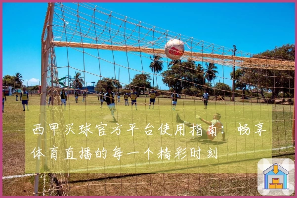 西甲买球官方平台使用指南：畅享体育直播的每一个精彩时刻